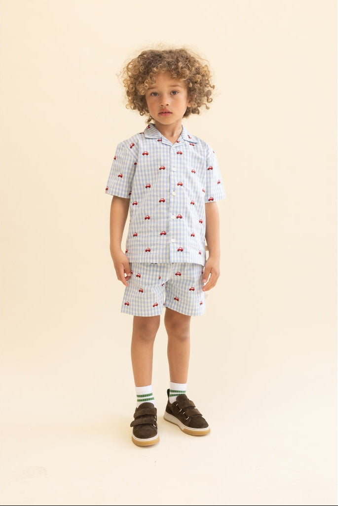 Albert Bluse