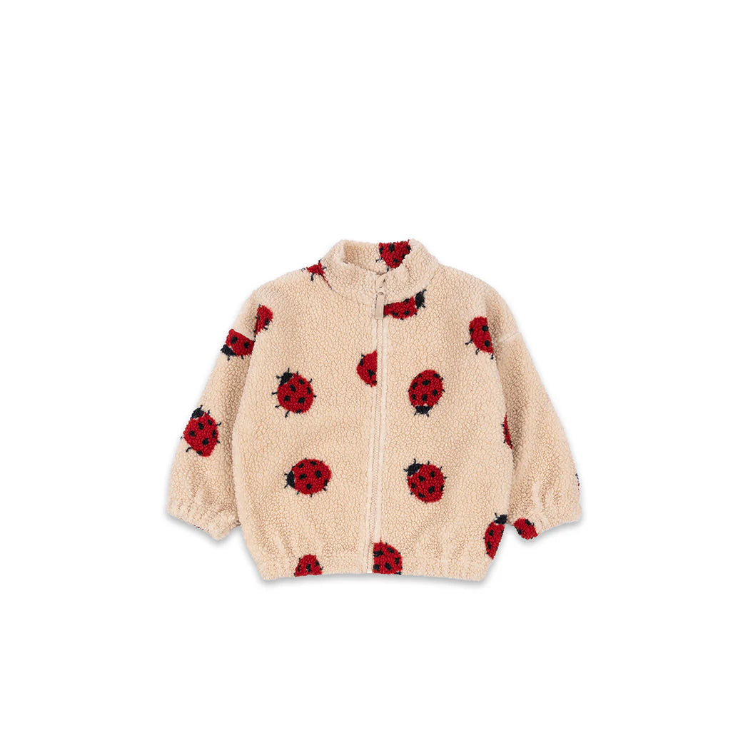 Jody Teddy Jas