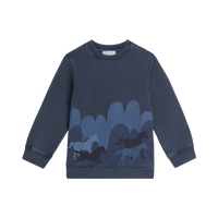 Blue Horse Graphic Pullover