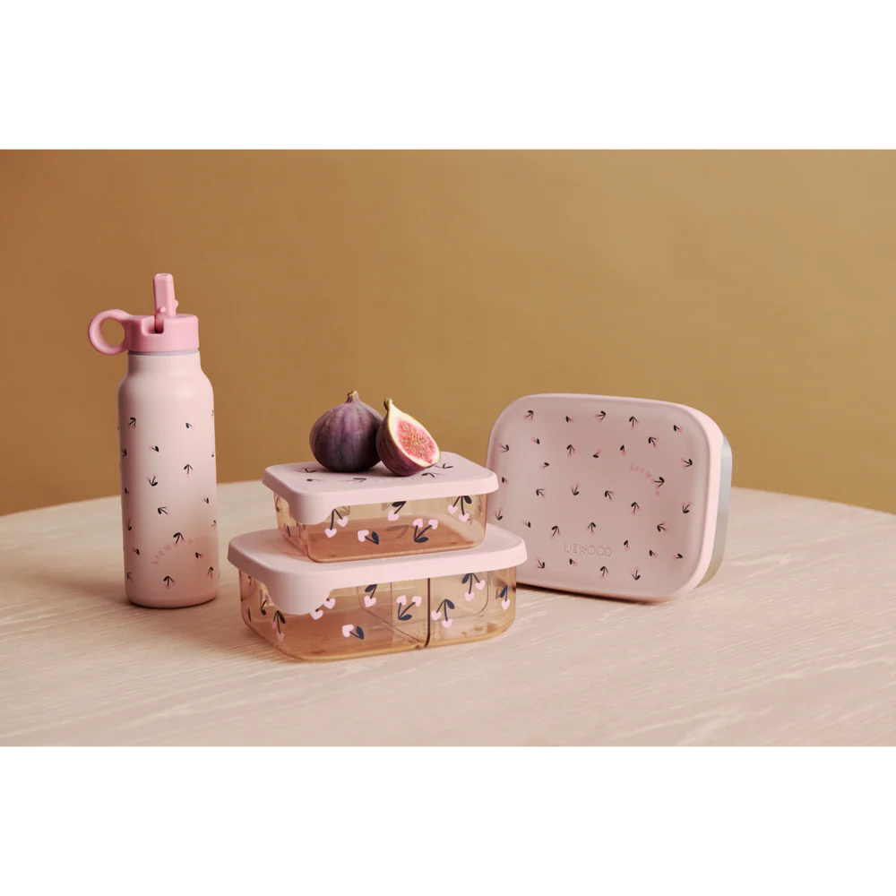 Arthur Steel Lunchbox