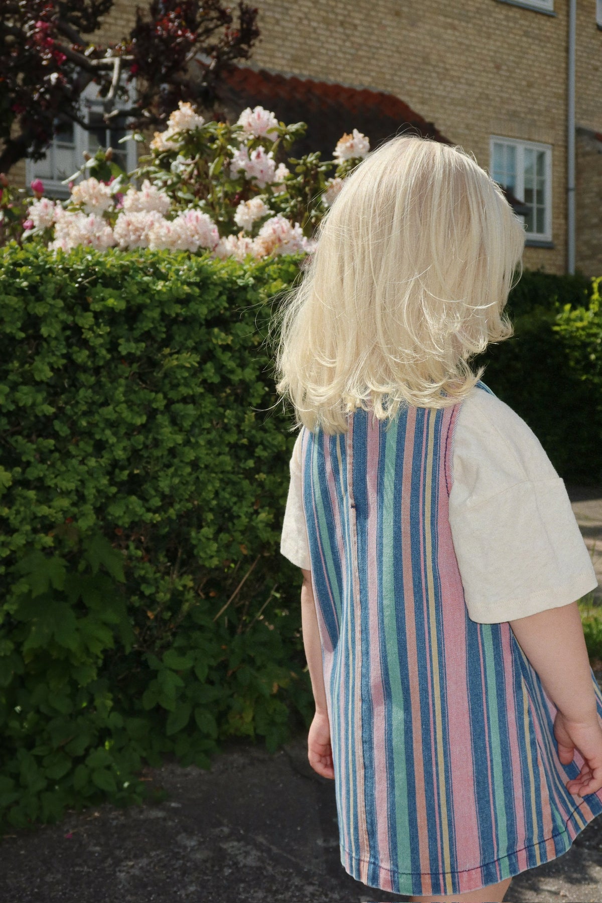 Magot Kleid