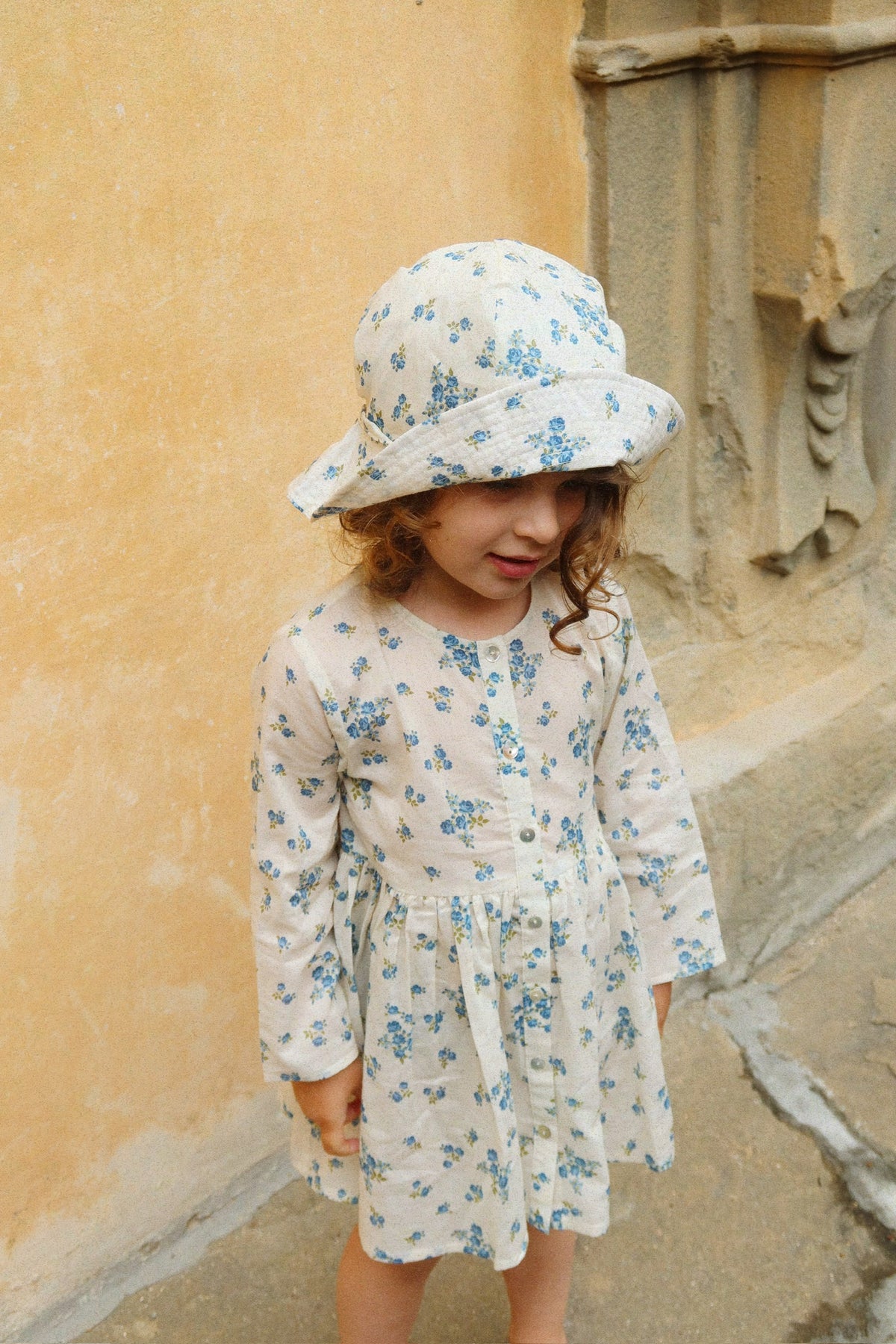 Pacey Sonnenhut