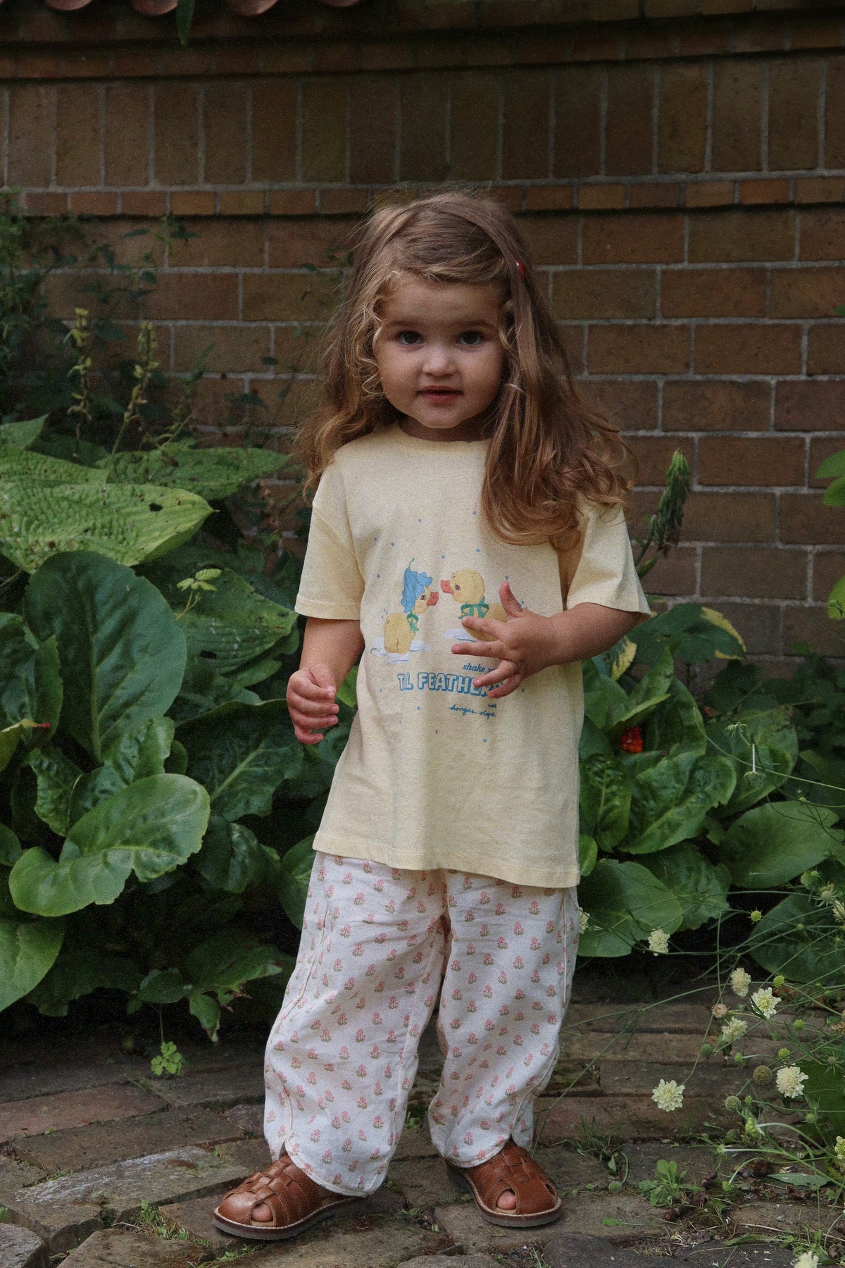 Pacey Broek