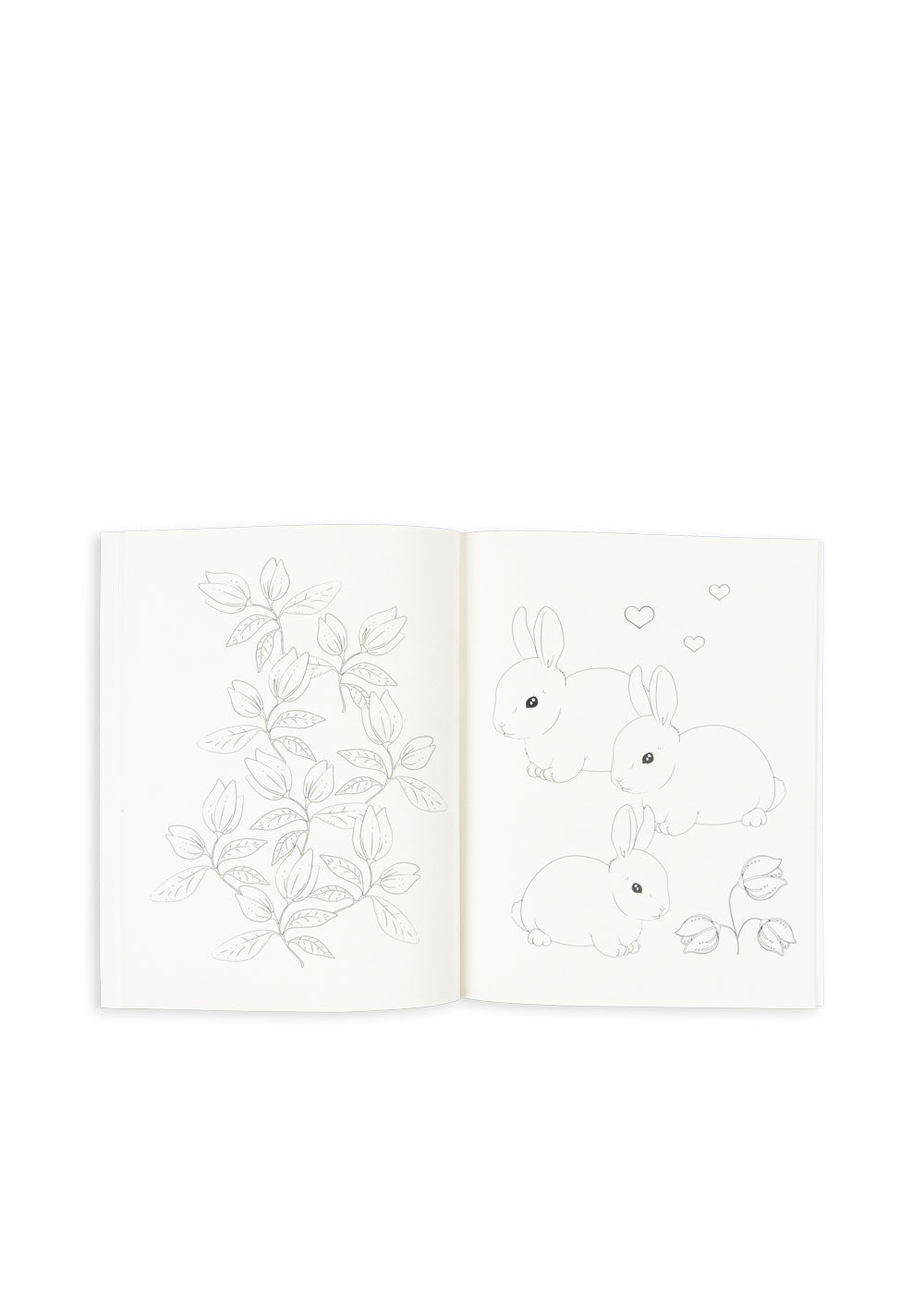 Kleurboek en kleurpotloden