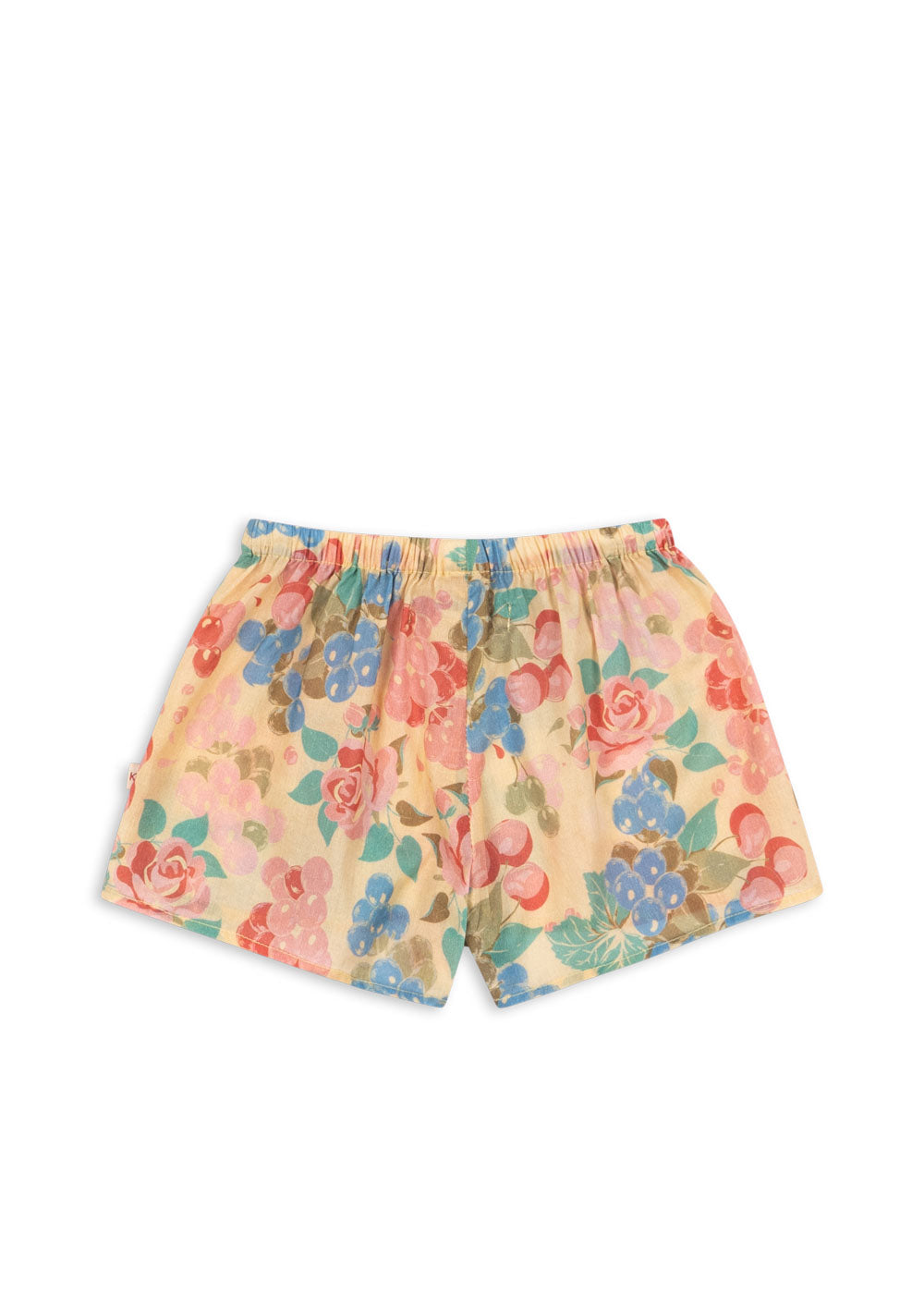 Pacey Shorts-thumbmail-2