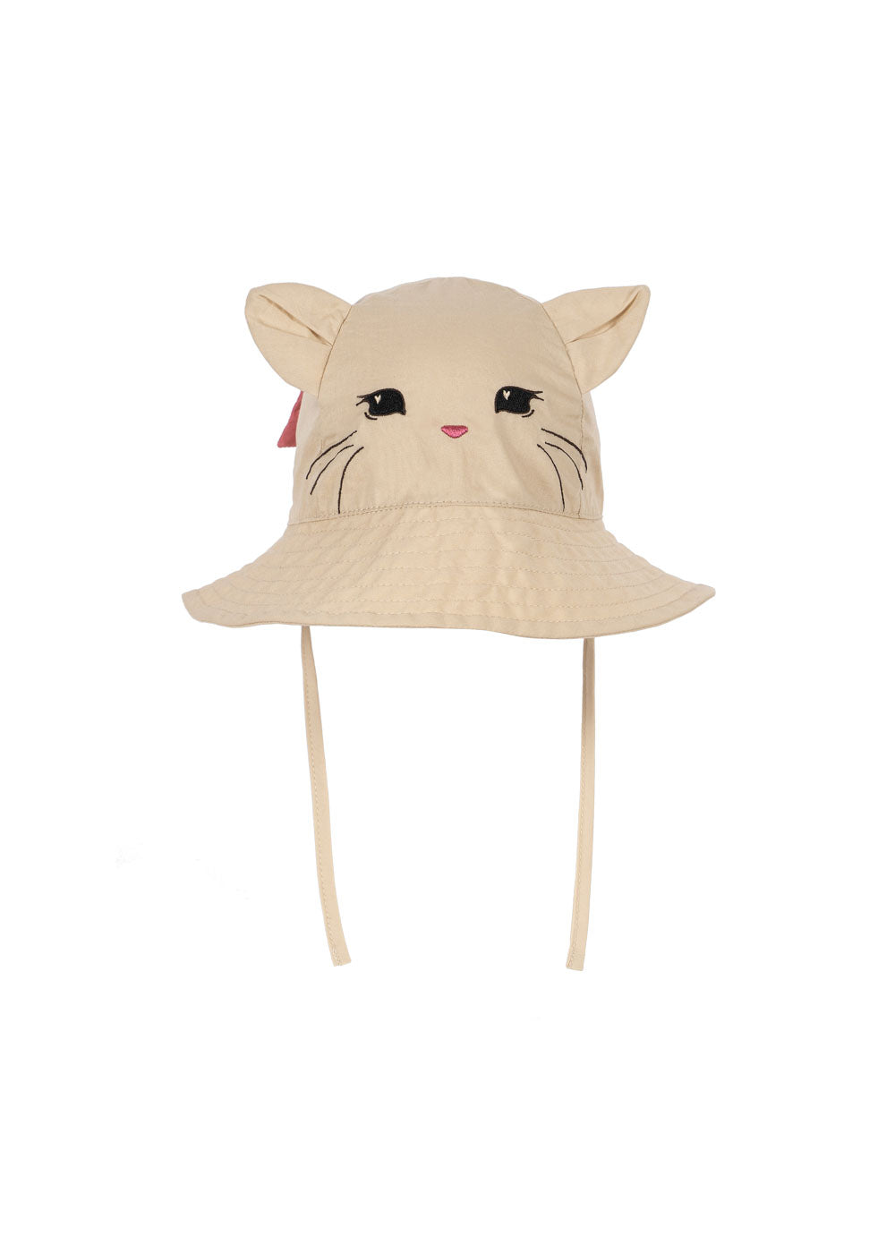 Verbena Bow Kitty Sonnenhut